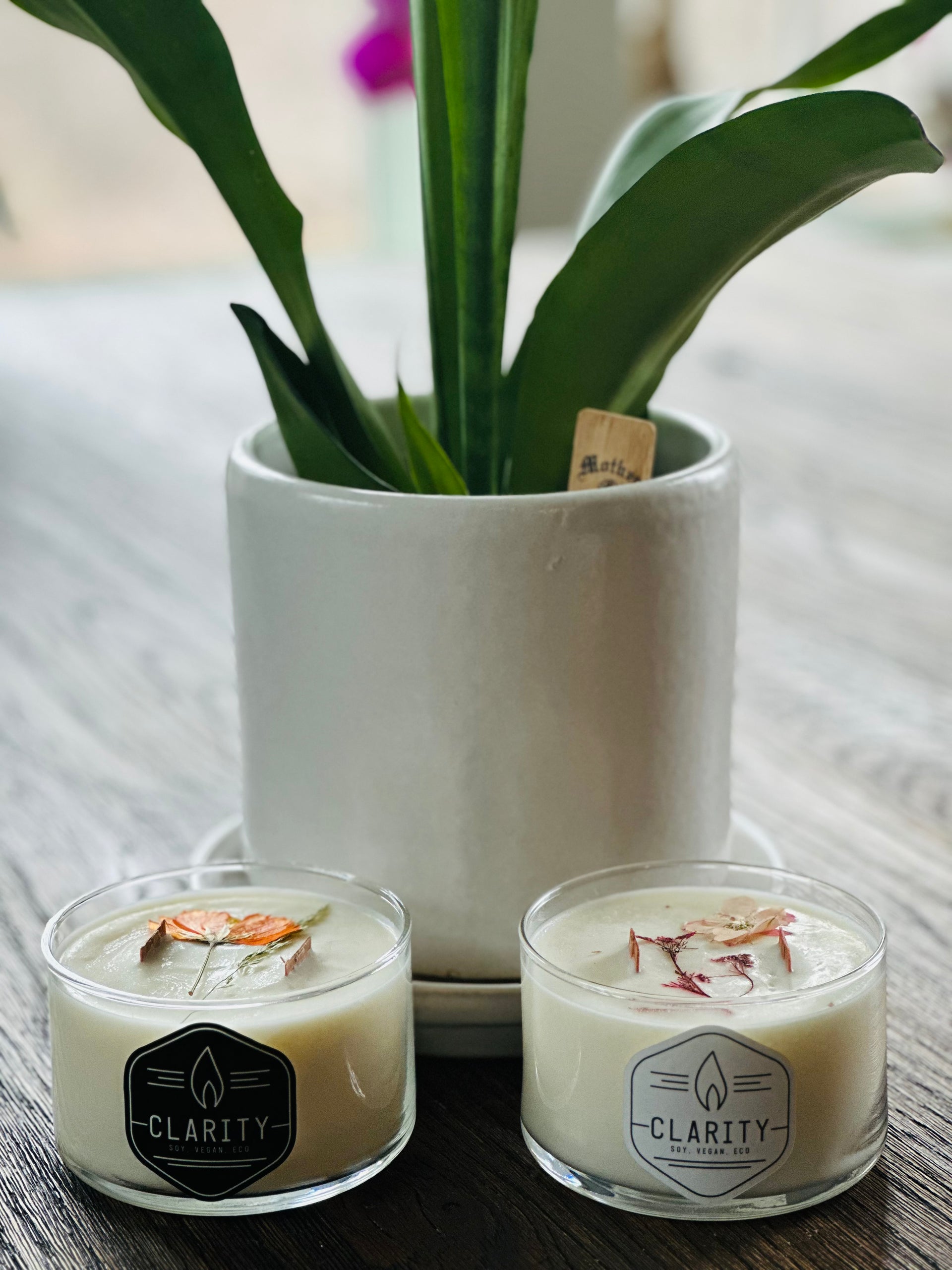 Sky Candy • Organic Soy Wax Candle – Pathfinder Goods